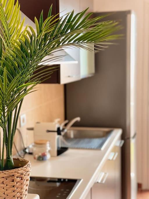 Apartamento Casa Bamboo Corralejo, Espacioso, Piscina Y Parking Exterior foto